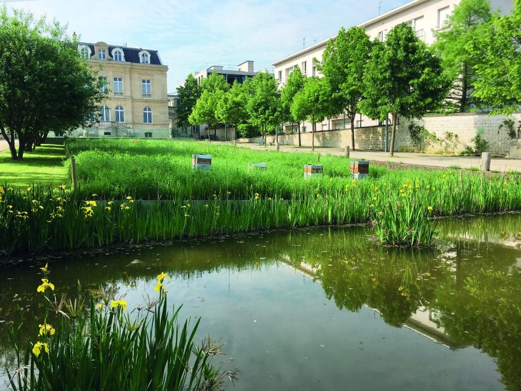 Sceaux ville amie des enfants