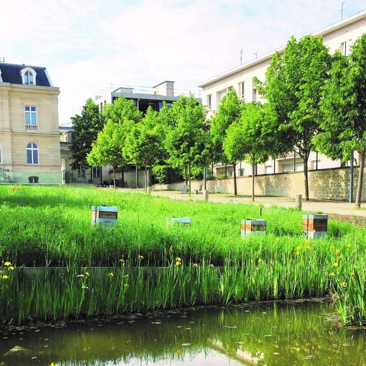 Sceaux ville amie des enfants