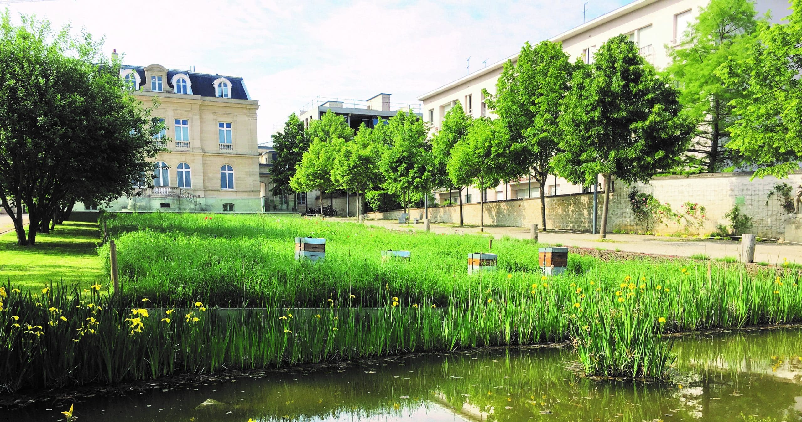 Sceaux ville amie des enfants